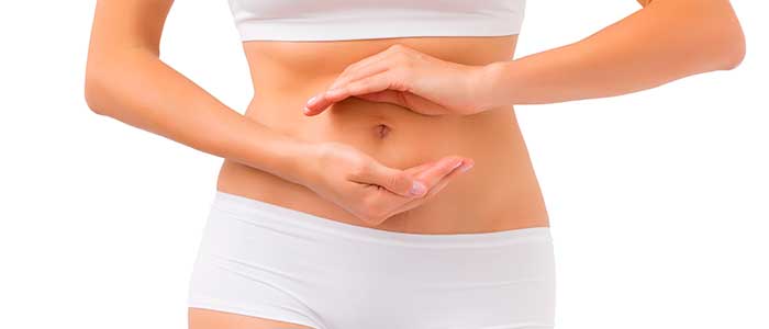 Cuidados del sistema digestivo: consejos prácticos y científicamente comprobados. - Kibo Foods - 1